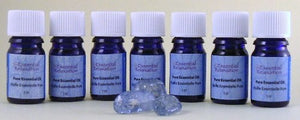 Pure Essential Oil - Rosemary - Essential Relaxation